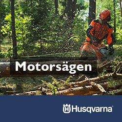 Motorsägen